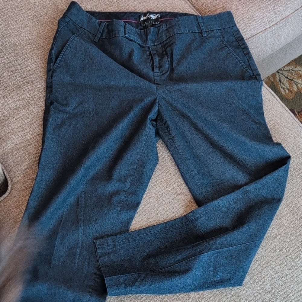 Stylish Dark Blue Pants